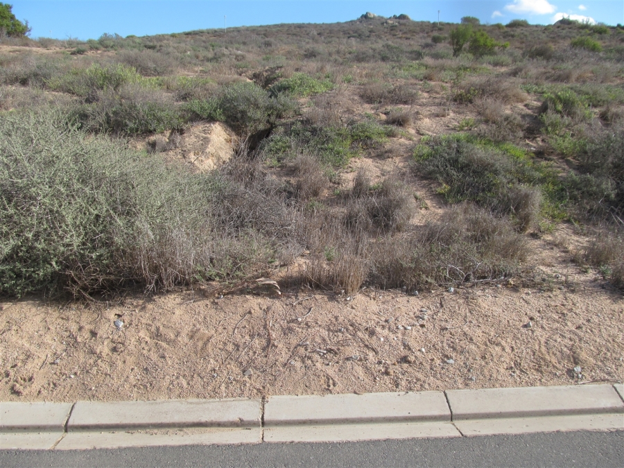 0 Bedroom Property for Sale in Britannica Heights Western Cape